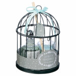 Coffret cage avec diffuseur et bougie instants vol�s atmosphera - th� et jasmin
