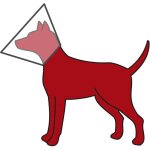 Animallparadise - collerette de protection xs - s 20 - 26 cm / 11 cm pour petit chien