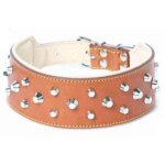 Inferramenta - collier pour chien en cuir matelassa avec 2 ranga es de clous 45 mm de large, 63 cm de ...