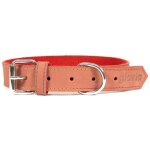 Collier pour chien gloria oasis rouge (65 x 3 cm)