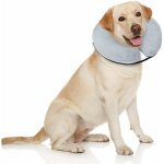 Serbia - collier gonflable de protection pour chiens et chats - le collier de récupération à cône doux ... Serbia - collier gonflable de protection pour chiens et chats - le collier de récupération à cône doux ...