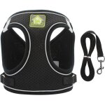 Colliers, harnais et laisses pour chats harnais chaton anti évasion réfléchissant réglable harnet pour ... Colliers, harnais et laisses pour chats harnais chaton anti évasion réfléchissant réglable harnet pour ...