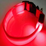 Yzmrbdqc - collier lumineux led rechargeable pour chien collier lumineux rflchissant rglable