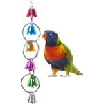Color� ringer bells balan�oire jouet pour oiseau perroquet africain gris ara perruches perruche calopsitte ...