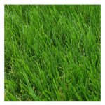 Comercial candela - gazon synthtique 2x10m 40mm lisse duveteux jardin extrieur type quatre - tons