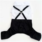 Costume col brillant pour homme, chat, teddy, chiot, v�tements, robe de mariage, fausse chemise deux ...