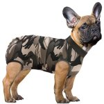Costume de rcupration pour chien combinaisons de chats pour les blessures abdominales chemise de rcupratio ...