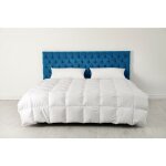 Couettes et cetera - couette naturelle 500g / m� 240x260 cm - blanc