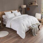 Couette extra douce - confort hotel temperee - 140 / 200 - dodo Couette extra douce - confort hotel temperee - 140 / 200 - dodo