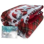Tex family ? couette d'hiver 2 places 170x260 cm ? rembourrage polyester hypoallerg�nique 300 gr / m� ...