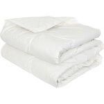 Couette naturelle plumdor plumettes de canard tempr (mi - saison) 260x240 cm