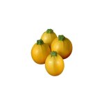 Courgette floridor hf1 - graines - 20 semences