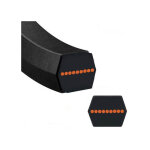 Courroie aa73 hexagonale autoport�e coupe murray