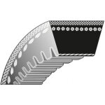 Courroie dente intrieure roques et lecoeur pour scarificateur cassini k306030047