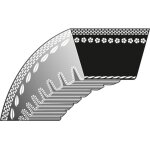 Courroie dent�e tondeuse alko 548860 10x797mm