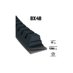 Courroie tondeuse bx48 trap�zo�dale crant�e - 17 mm x 1286 mm