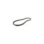 Courroie trap�zo�dale crant�e mitsuboshi, section 13 x 8mm. longueur ext: 40''.