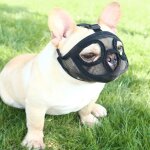 Court museau chien muzzle - réglable respirant en maille muselière bulldog pour piqûres d'chewing aboiements ... Court museau chien muzzle - réglable respirant en maille muselière bulldog pour piqûres d'chewing aboiements ...