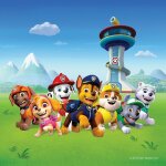 Coussin - pat' patrouille courent devant la tour - 40x40 cm