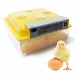 Couveuse automatique 48 oeufs appareil couver incubateur 4 fenêtres surveillance Couveuse automatique 48 oeufs appareil couver incubateur 4 fenêtres surveillance