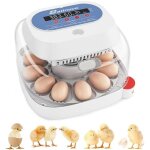 Couveuse oeuf automatique 12 oeufs, couveuses oeuf pour ufs de volailles avec 4 modes vue  360, incubateur ...