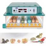 Couveuse oeuf automatique 24 - 36 oeufs, incubateur oeuf automatique, retournement automatique des ?ufs ...