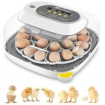 Couveuse oeuf automatique 24 oeufs, couveuses oeuf pour ufs de volailles avec 4 modes vue  360, incubateur ...