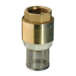 Crepine clapet laiton 1'' avec crepine inox renson