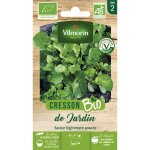 Cresson de jardin - bio vilmorin