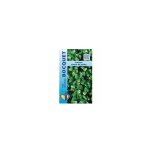 Cresson vivace de jardin - 5g