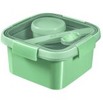 Curver 249947 boîte de conservation, lunch box carree 1, 1l avec couverts - recycle (smart eco line) Curver 249947 boîte de conservation, lunch box carree 1, 1l avec couverts - recycle (smart eco line)