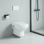 Cuvette wc suspendu r�tro en c�ramique blanche ? sortie horizontale ? abattant avec frein de chute ? ...