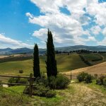 Cypr�s d'italie, de provence totem / pot de 4l