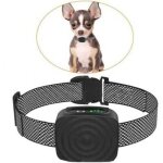 Cyslmuk - collier pour chien de petite / moyenne taille, 5 � 15 lb, sans choc, rechargeable, anti - aboiement, ...