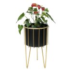Dandibo tabouret à fleurs avec pot métal or noir rond l 45 cm porte - fleurs 96039 colonne à fleurs moderne ... Dandibo tabouret à fleurs avec pot métal or noir rond l 45 cm porte - fleurs 96039 colonne à fleurs moderne ...