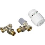 Danfoss 013g5217 pack tte thermostatique technologie gaz pour la rnovation ra2990 + corps ra - fn 1 ...