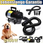 Dayplus - silencieux chien chat animal s�choir toilettage cheveux 4 en 1 souffleur