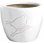 Cache pot bird blanc en terre cuite 13 cm Cache pot bird blanc en terre cuite 13 cm