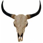 Tête de mort décorative 64cm trophée tête de taureau longhorn polyrésine intérieur / extérieur naturel ... Tête de mort décorative 64cm trophée tête de taureau longhorn polyrésine intérieur / extérieur naturel ...
