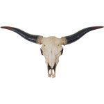 Décoshop26 - tête de taureau décoration murale 75cm trophée longhorn en polyrésine intérieur / extérieur ... Décoshop26 - tête de taureau décoration murale 75cm trophée longhorn en polyrésine intérieur / extérieur ...