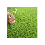 D�coweb - gazon synth�tique fontainebleau - 30mm - rouleau de 2m x 6m