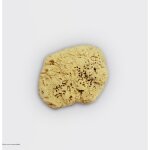 Dekor - eponge de mer 100% naturelle - 19 x 21 cm Dekor - eponge de mer 100% naturelle - 19 x 21 cm