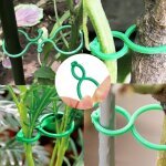 Attache plante de jardin support pour plantes clips avec fermoir, 50 pièces réutilisables pinces à clip ... Attache plante de jardin support pour plantes clips avec fermoir, 50 pièces réutilisables pinces à clip ...