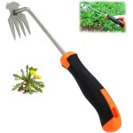 D�sherbeur manuel, d�sherbage outil, d�sherbeur � main outils, outils jardinage avec manche, outils de ...
