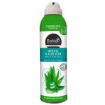 D�sodorisant compress� menthe et aloe 250ml - boldair