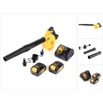 Dewalt dcv 100 m2 souffleur / souffleuse � feuilles 18 v + 2 x dcb 182 batterie 4, 0 ah + chargeur dcb ...