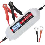 Chargeur automatique dino kraftpaket 136312 12 v, 6 v 0. 8 a 3. 8 a 1 pc(s) r531881