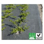 Direct filet - kolys ? - paillage compostable et biodgradable tisse - rouleau de 100m largeur: 105 ...