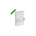 Disjoncteur de branchement enedis ttrapolaire diffrentiel 500ma instantan - 60a 401011