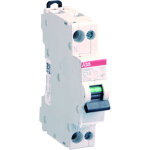 Disjoncteur phase + neutre 10a - aeg